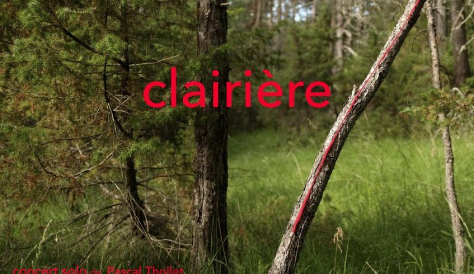 Clairiere de Pascal THOLLET